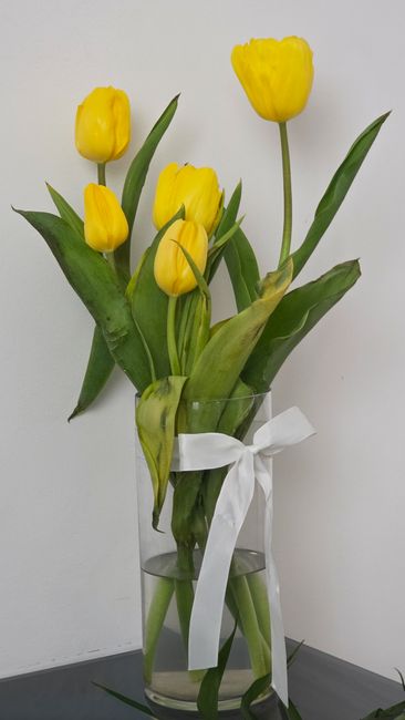 A tall, clear glass vase filled with fresh yellow tulips and a few green leaves, arranged with some flowers standing upright and others leaning slightly. The vase is wrapped with a white satin ribbon 
